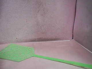 蒼蠅拍