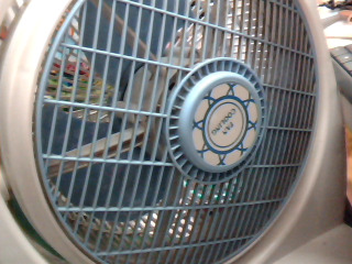 電風扇