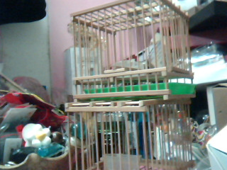 鳥籠