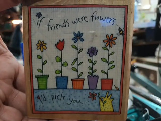 如果朋友是花，我會選擇你印friends were flowers