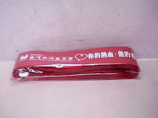 行李箱綁帶