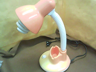 抬燈