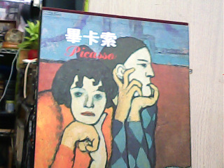 書 畢卡索