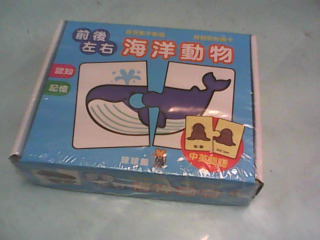 學習圖卡