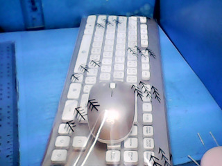 鍵盤滑鼠組