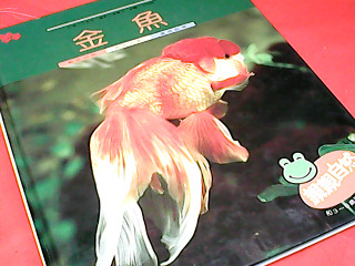 童書