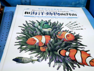 童書-和海洋動物面對面