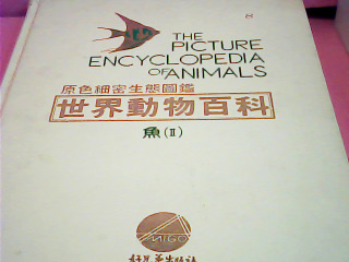 童書