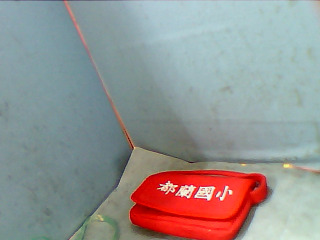 袋