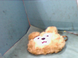 袋