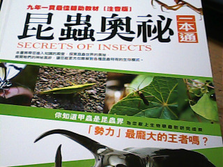 童書  昆蟲奧秘