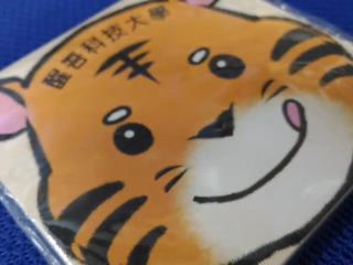 紙