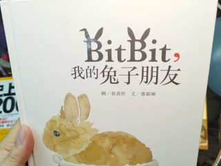 我的兔子朋友