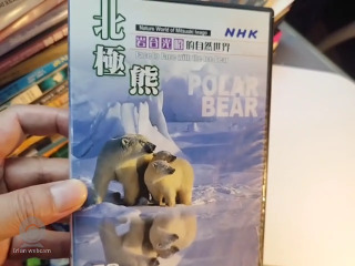 北極熊 DVD