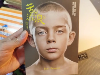 苦兒流浪記