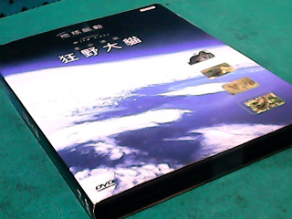 DVD-狂野大貓