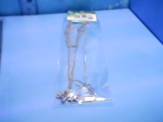項鍊2入