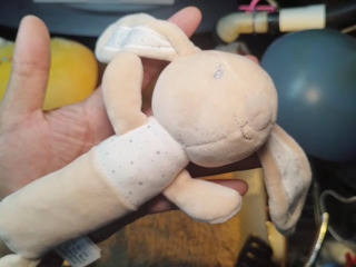 長耳兔絨毛玩偶