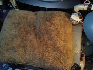 棕色長毛絨地墊