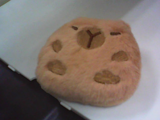 娃娃別針