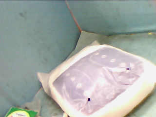 袋