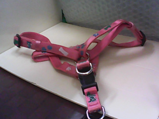 寵物胸背帶項圈