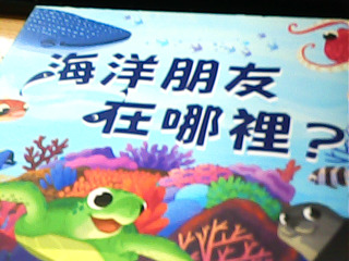 童書 海洋的朋友在哪裡