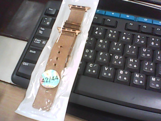 APPLE WATCH錶帶