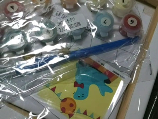 嬉鬧海豹