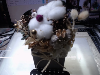 永不凋謝的魔法