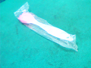 刷子