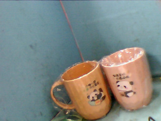 杯