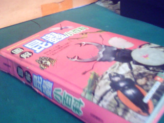 書-圖解昆蟲小百科