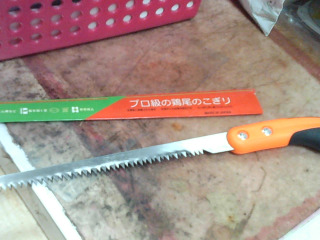 雞尾鋸/橘柄