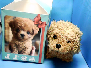 全新聲光玩具狗-單售