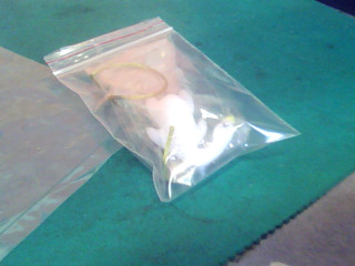 變色烤鴨汽車吊飾