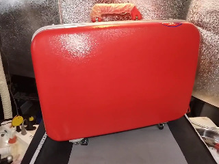 紅色行李箱