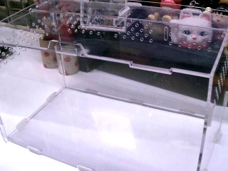寵物箱