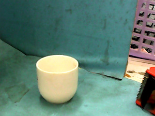 杯