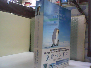 DVD 企鵝