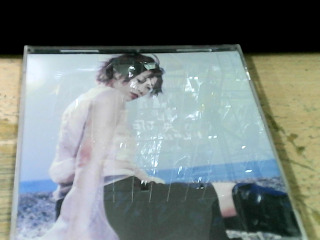 CD 那英