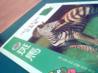 遊戲書