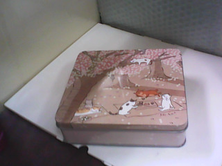 鐵盒