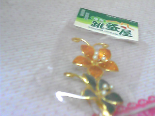 胸針