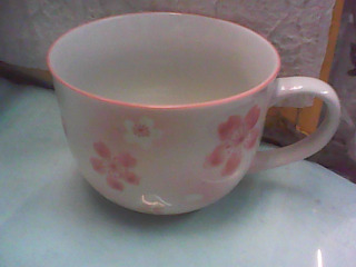 杯