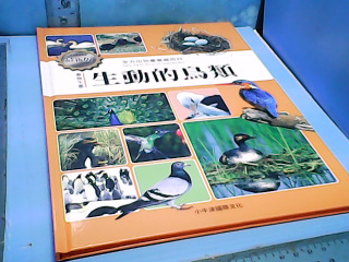 童書-生動的鳥類