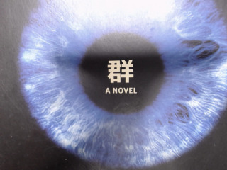群  A NOVEL