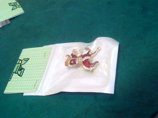 胸針
