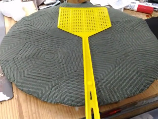 拍