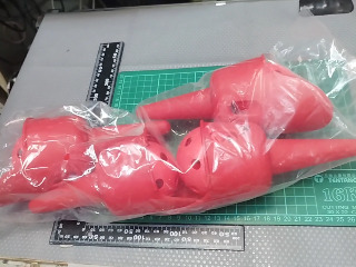 敏捷體育訓練